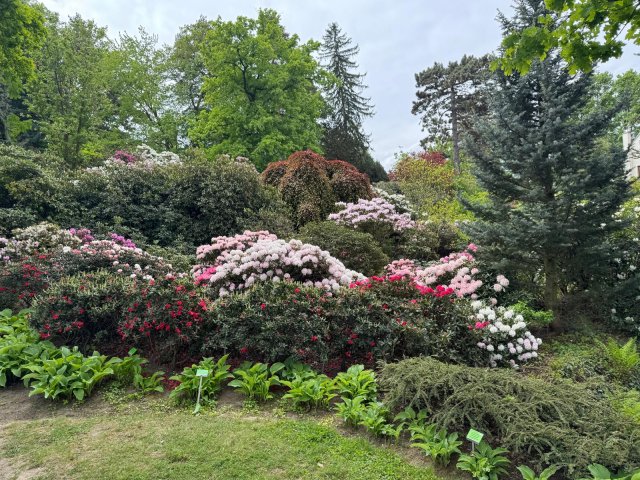 Zdjęcie WhatsApp 2025-05-06 o 14.00.17_07d27a28