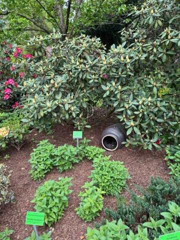 Zdjęcie WhatsApp 2025-05-06 o 14.00.17_8cb8f460