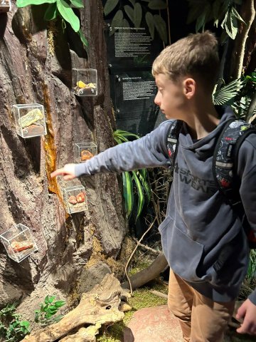 Zdjęcie WhatsApp 2025-05-24 o 19.41.26_fe26e11e