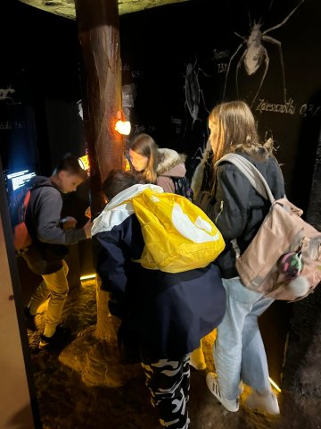 Zdjęcie WhatsApp 2025-05-24 o 19.41.27_37e005d9