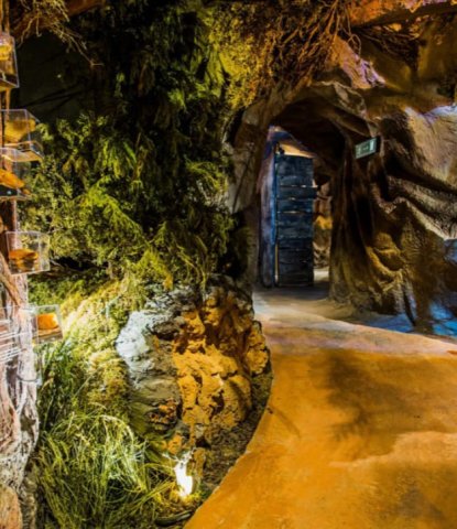 Zdjęcie WhatsApp 2025-05-24 o 19.47.08_1bf92a31