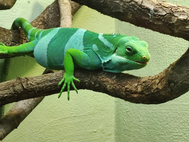 Zdjęcie WhatsApp 2025-07-30 o 09.25.59_06894514