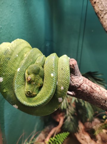 Zdjęcie WhatsApp 2025-07-30 o 09.25.59_4d3ba396