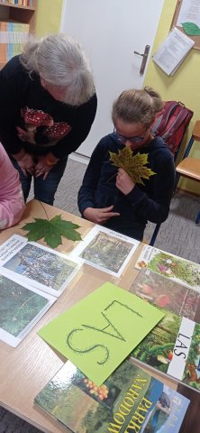 Zdjęcie WhatsApp 2025-12-18 o 15.29.58_0ff92ae6