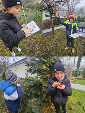 Zdjęcie WhatsApp 2025-12-18 o 23.32.10_0badd678