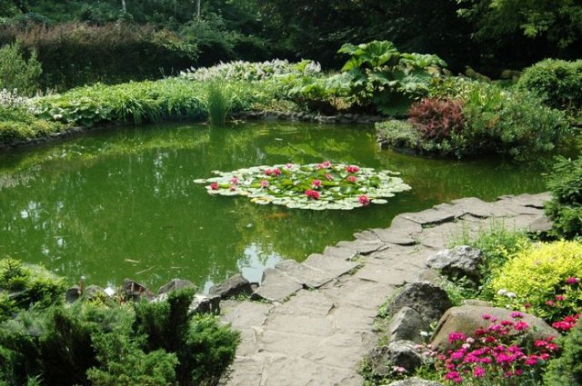 staw przy alpi Dsc_0328